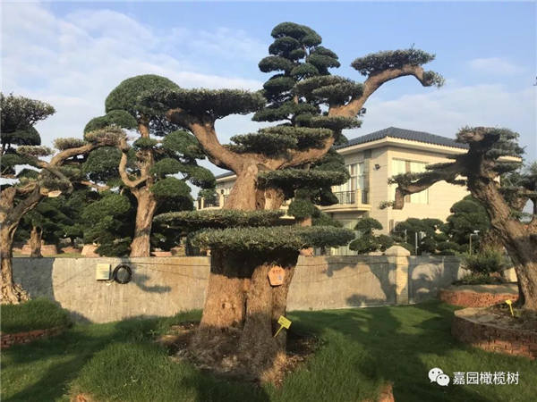 微信图片_20201211100658.jpg