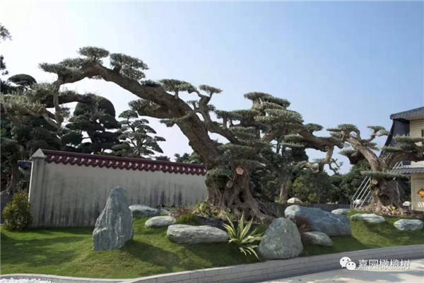 微信图片_20201211101521.jpg