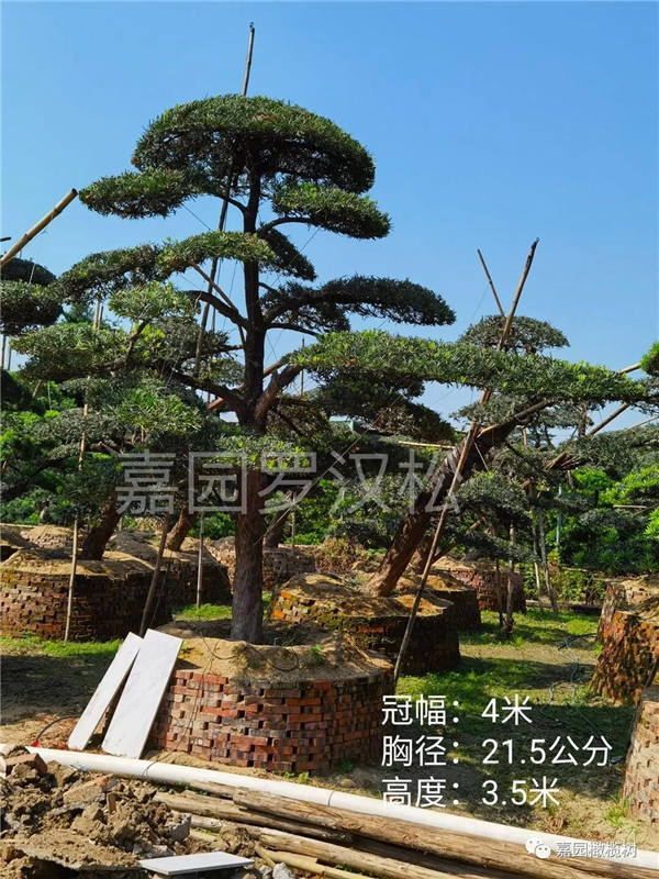 产品展示