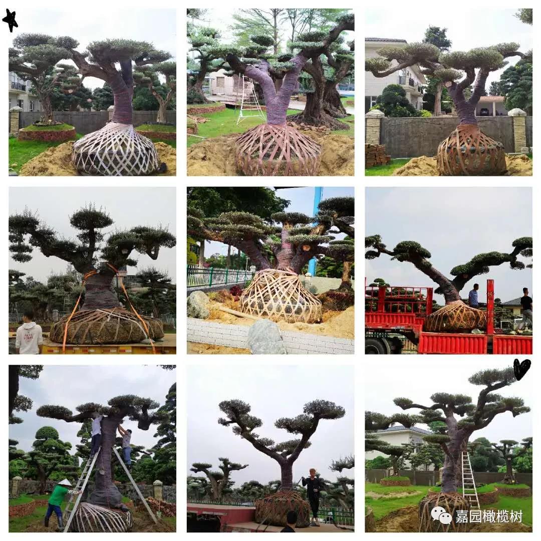 微信图片_20201211120139.jpg