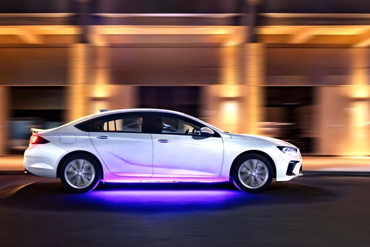 国际肌酸组织成立肌酸如何助力增肌与运动表现？(图1)